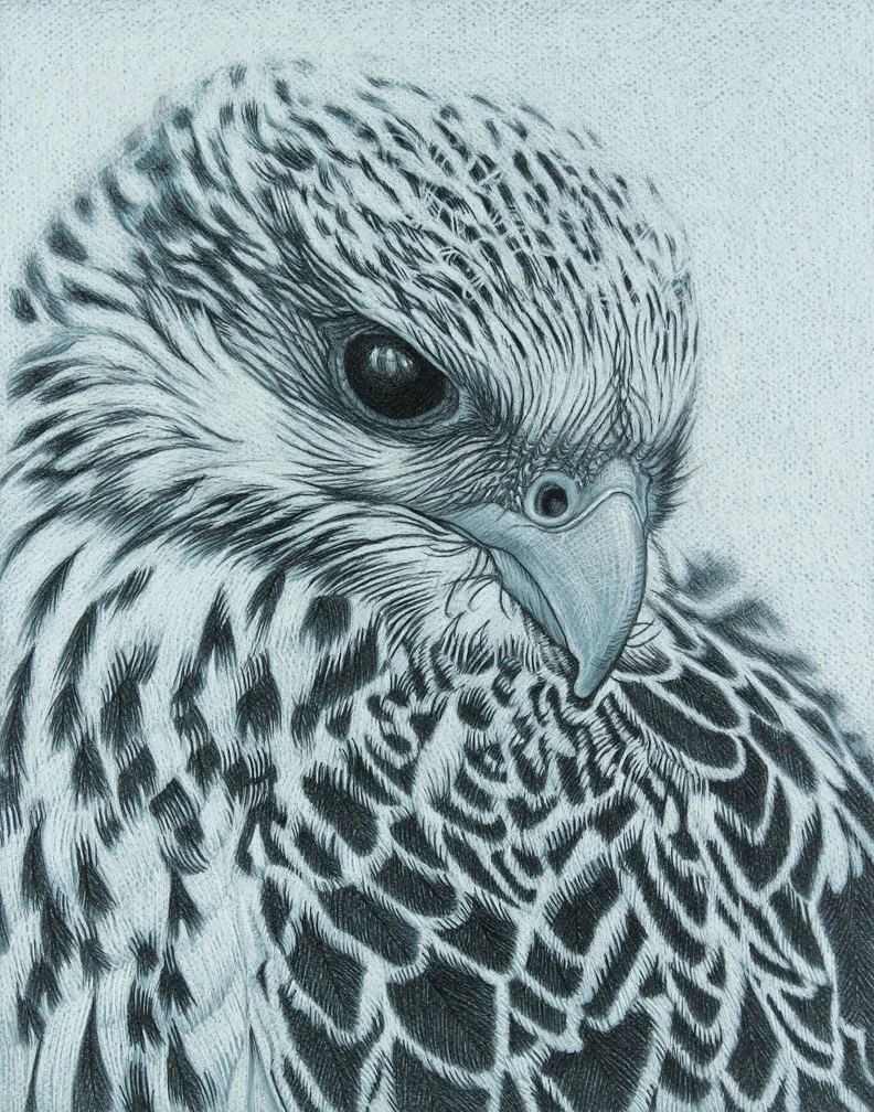Store — Rita Foster Art